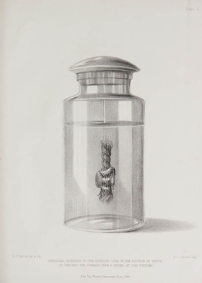 3255
<br/>
The North-Atlantic Sea-Bed: comprising a diary of the voyage on board H.M.S. Bulldog, in 1860; and observations on the presence of animal life, and the formation and nature of organic deposits, at great depths in the Ocean
<br/>
<em></em>